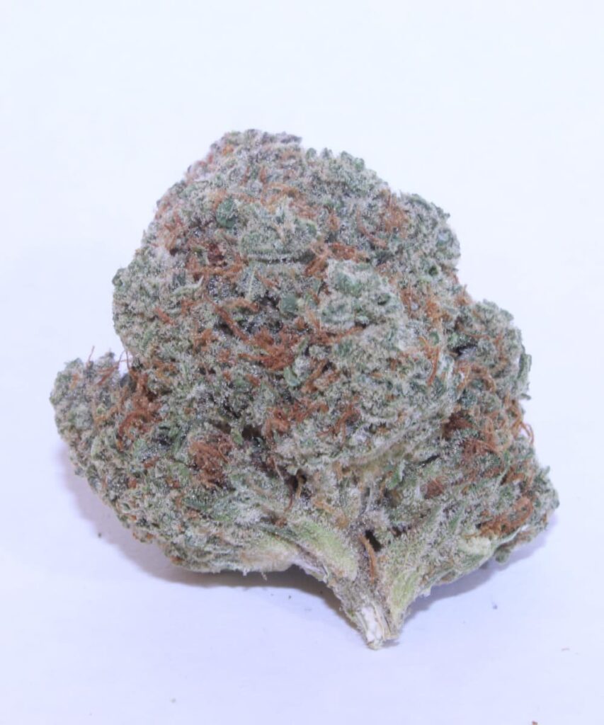 creme-brule-Auto Detailed view of Creme Brulee Auto's cured buds, emphasizing their rich texture and quality