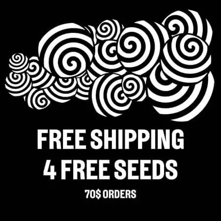 4 Free Seeds