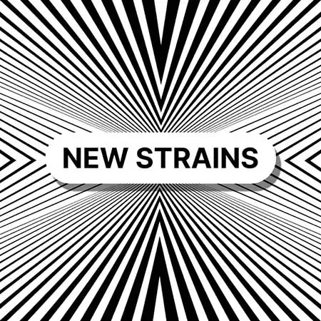 New weed seeds strain