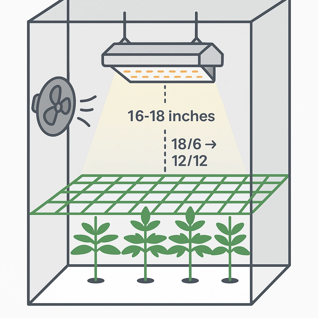 A grow tent layout with SCROG overlay and optimal light distance above canopy