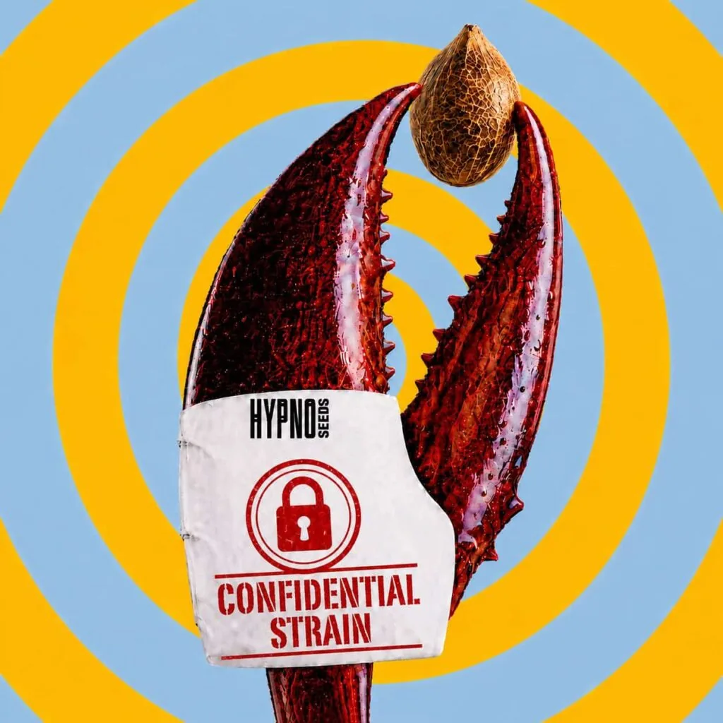 cover image for the article 'LA Confidencial' cover image for the article 'LA Confidenical grow guide'